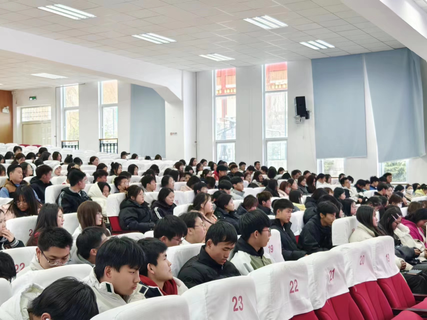 学习雷锋 薪火相传 ——校团委组织开展“雷锋精神我传承”主题团日活动(图4)