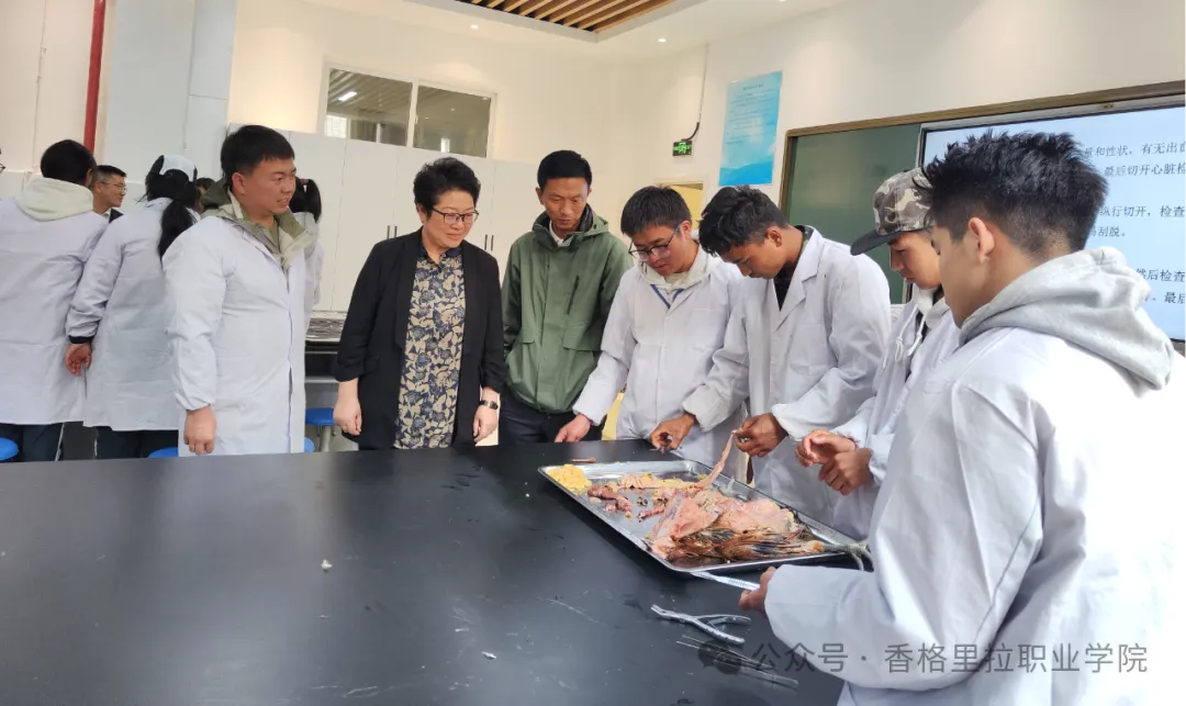大理农林职业技术学院到我院开展五年制高职联合办学交流工作(图5) 大理农林职业技术学院到我院开展五年制高职联合办学交流工作(图5)