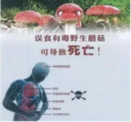 安全提醒|学院校2024年国庆节假期安全提醒(图6) 安全提醒|学院校2024年国庆节假期安全提醒(图6)